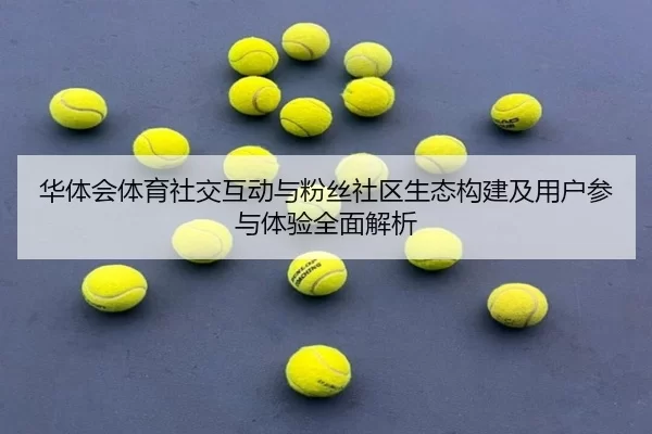 hua-ti-hui-ti-yu-she-jiao-hu-dong-yu-fen-si-she-qu-sheng-tai-gou-jian-ji-yong-hu-can-yu-ti-yan-quan-mian-jie-xi-2-352.jpg