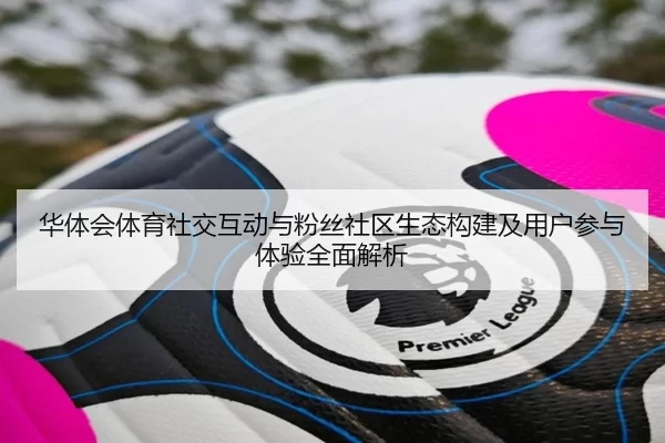 华体会体育社交互动与粉丝社区生态构建及用户参与体验全面解析